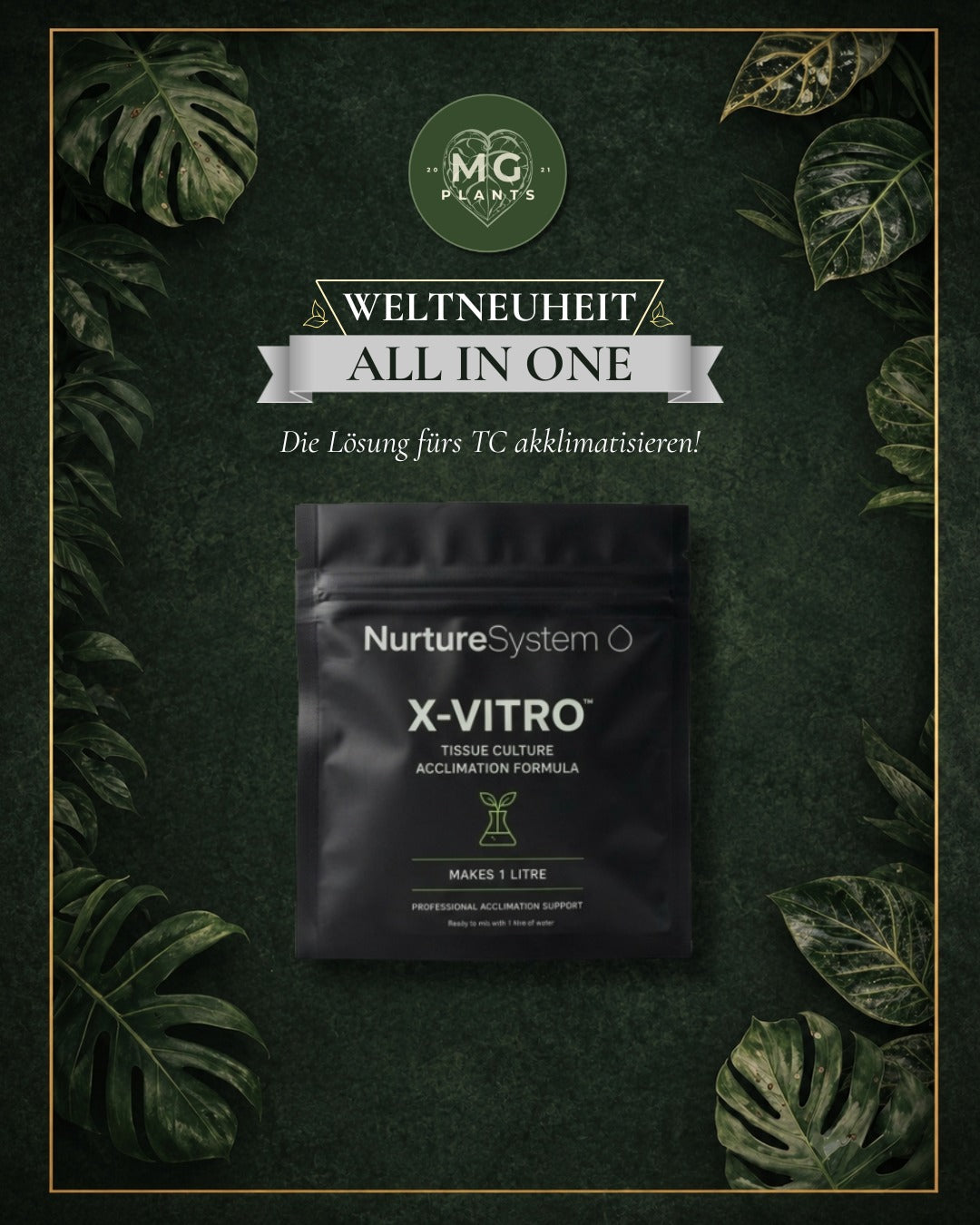 X-VITRO – Tissue Culture Akklimatisierungslösung (All-in-One mit Dünger & Schimmelschutz)