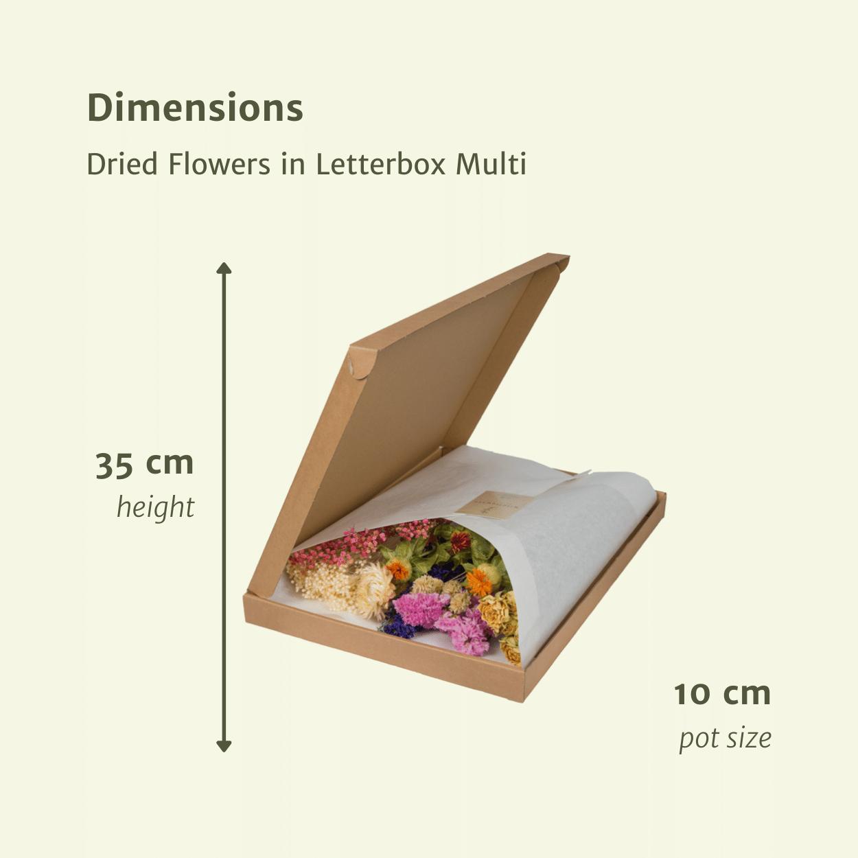 Dried flowers in letterbox - multicolour