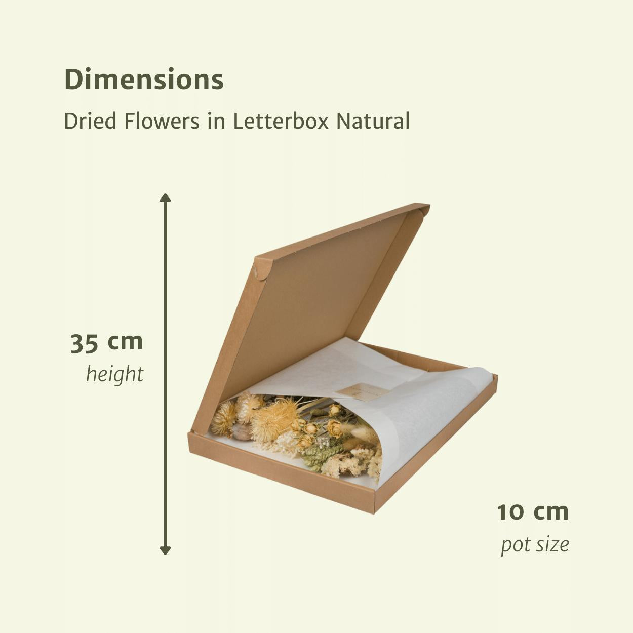 Dried Flowers in Letterbox Multi - Natural