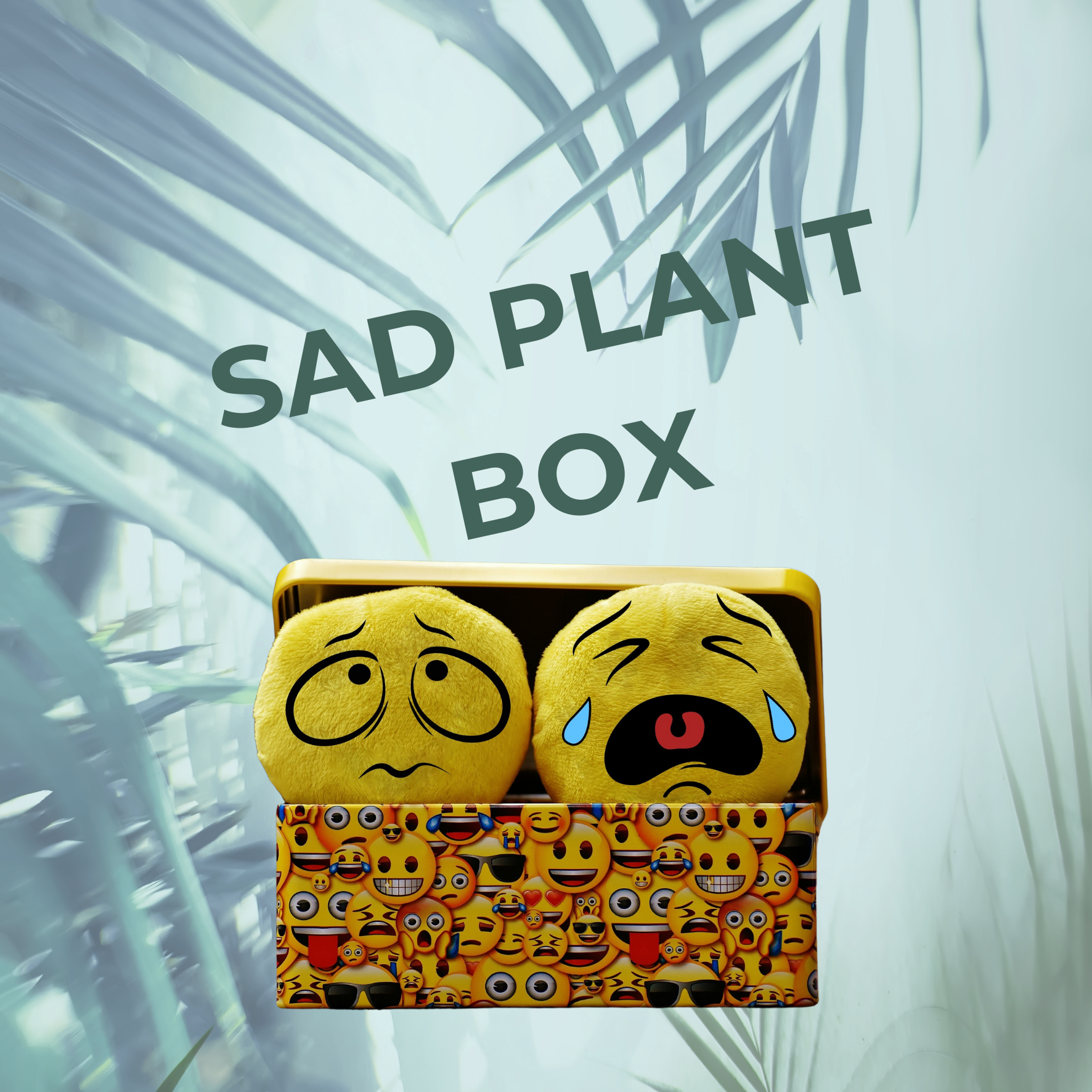 SAD Plant Box - B Ware