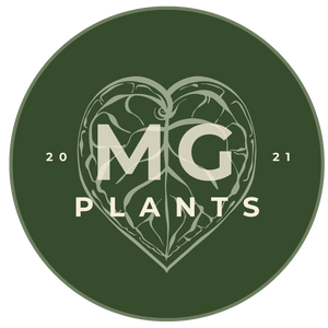 MG Plants