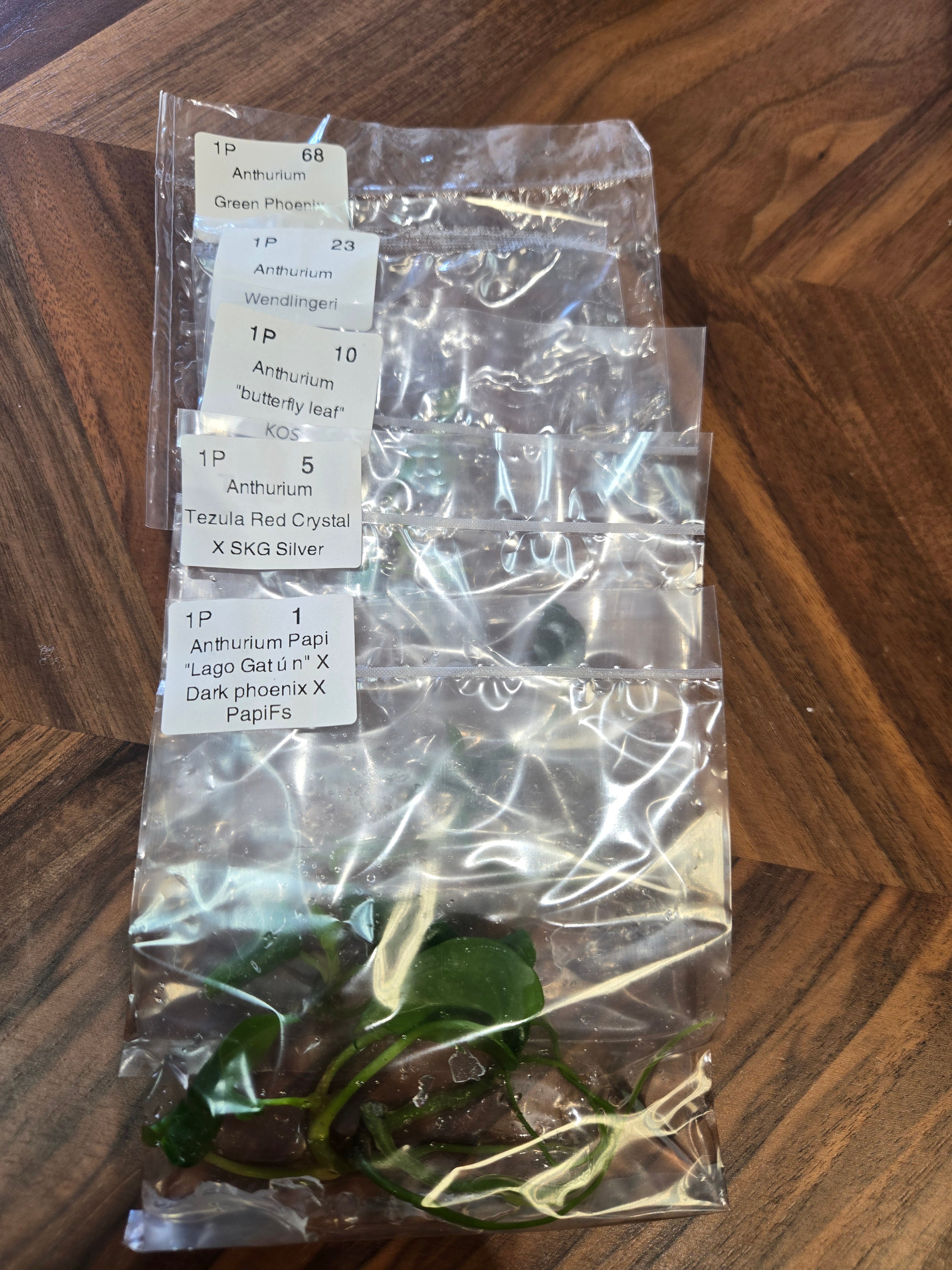 TC Surprise Bag verschiedene Größen