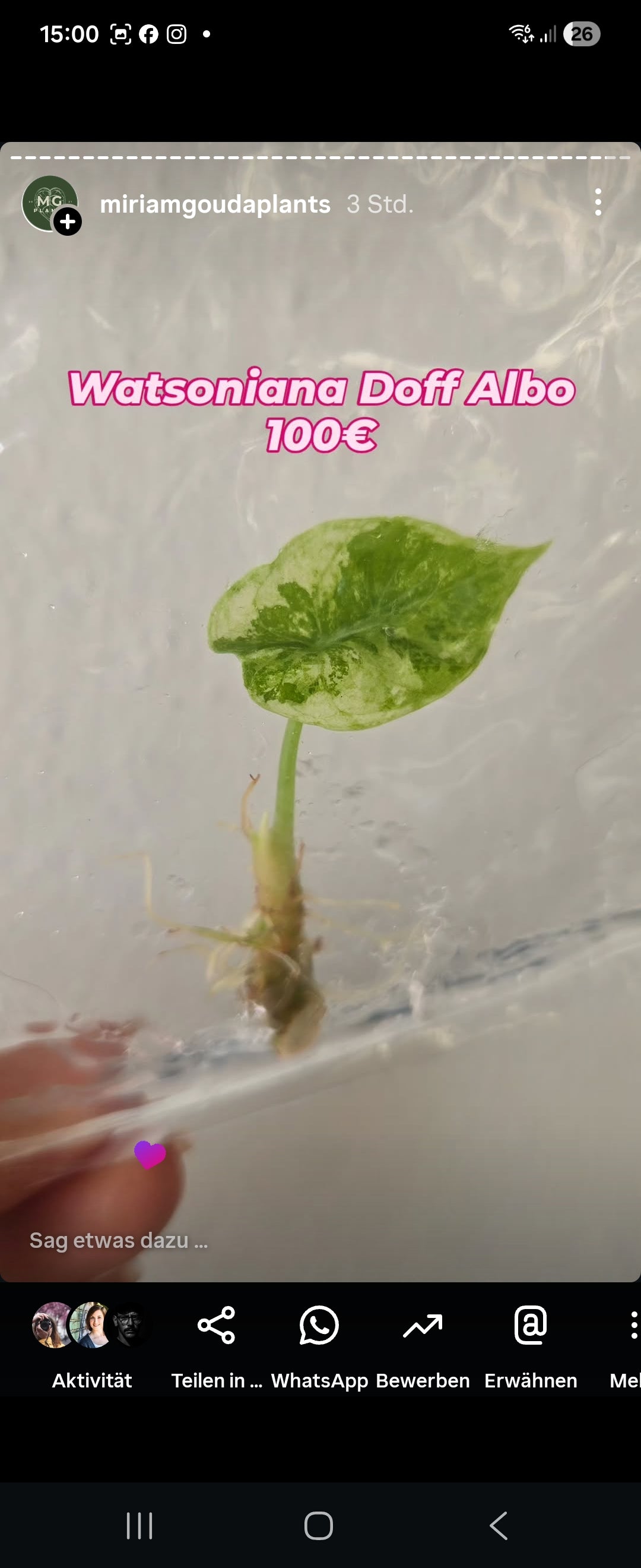 Watsoniana doff albo