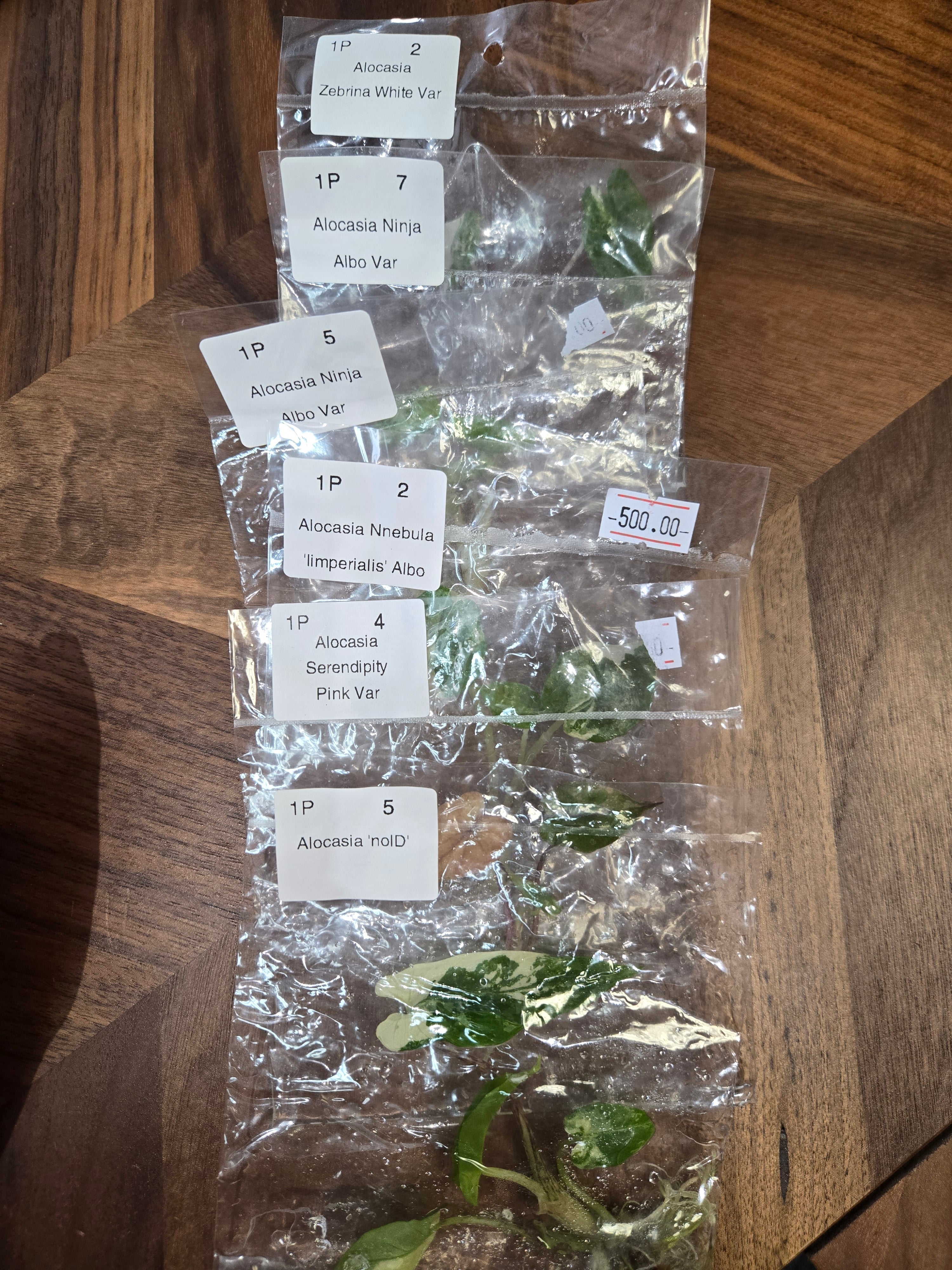 TC Surprise Bag verschiedene Größen