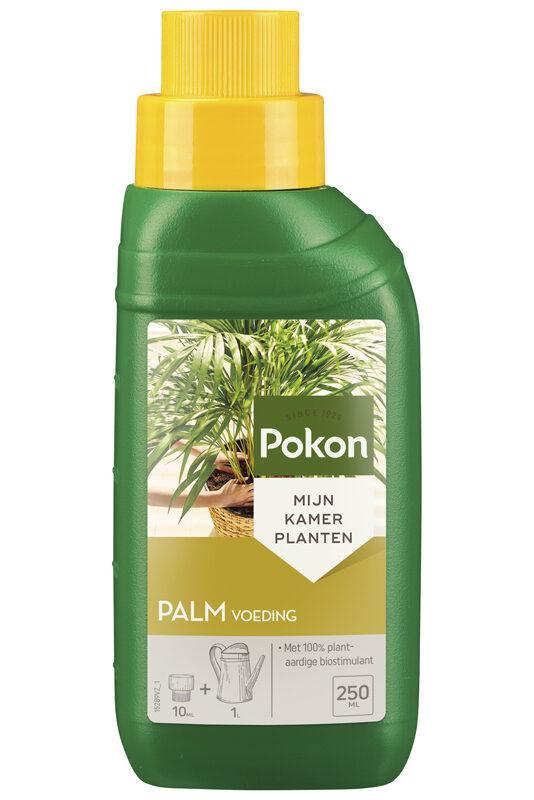 Pokon Palmen Pflanzennahrung 250ML